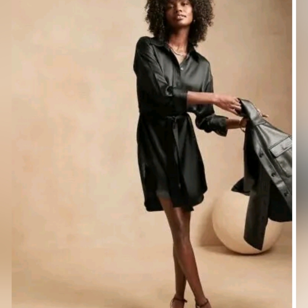 NWT. Shirt Dress, Silk 100%, $240 orig price, buy here for $180